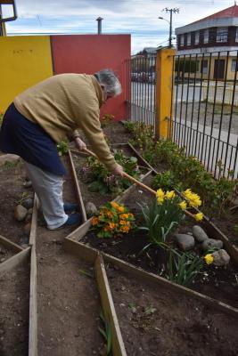 ARREGLOS JARDÍN