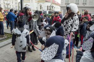 MURGA33 (2)